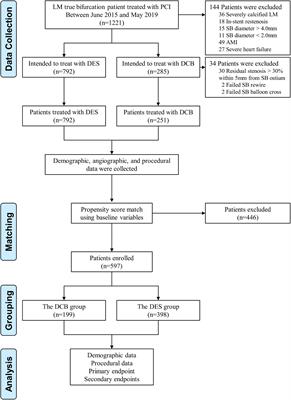 Drug-coated balloon in the treatment of coronary left main true bifurcation lesion: A patient-level propensity-matched analysis